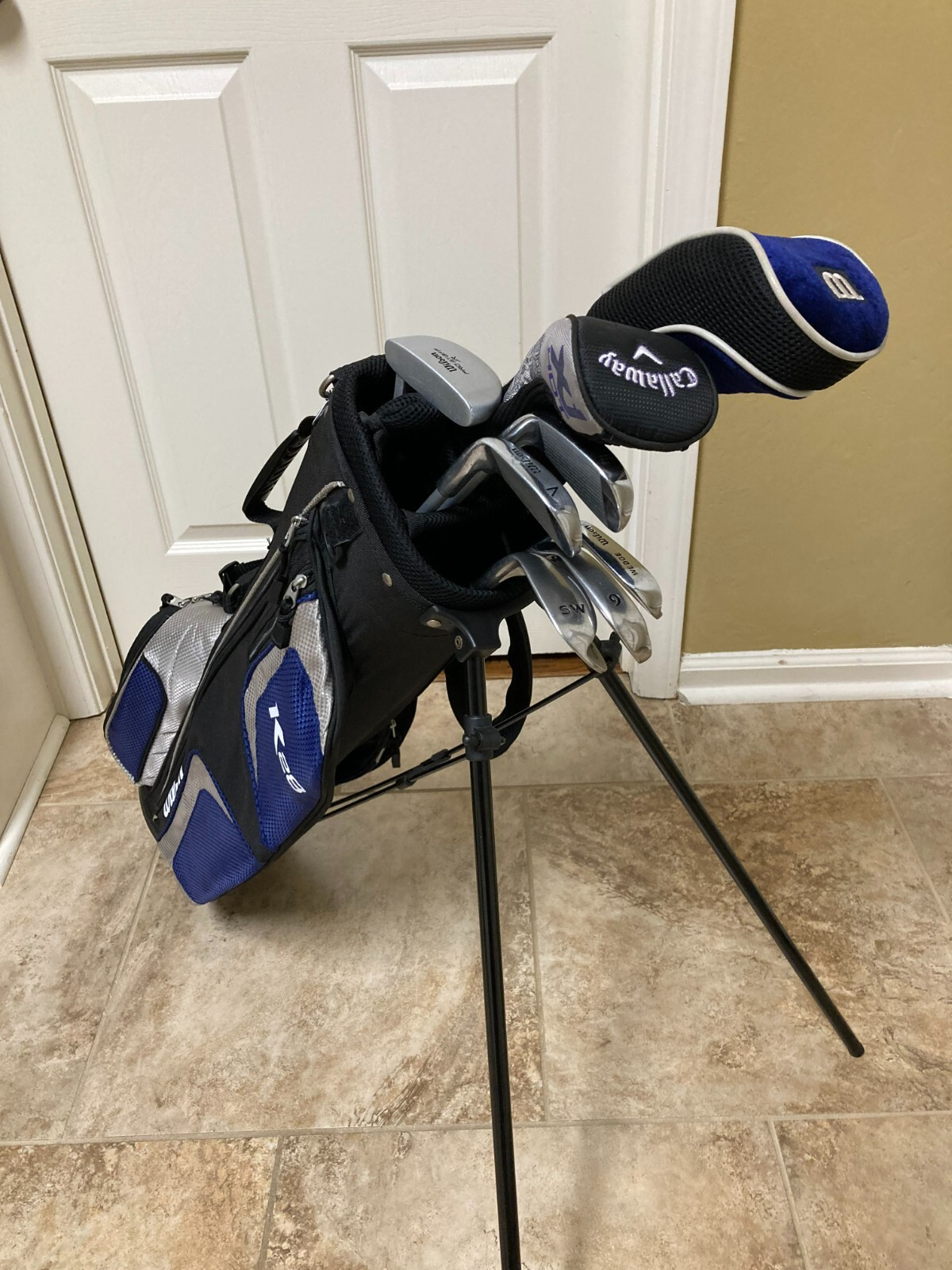 Clubs With Stand Bag