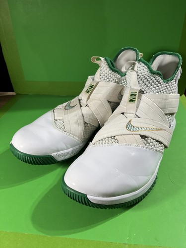lebron irish shoes