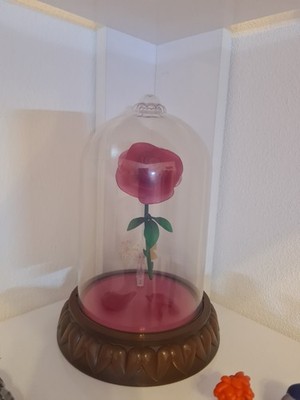 Photos de l'objet d'un acheteur vérifié