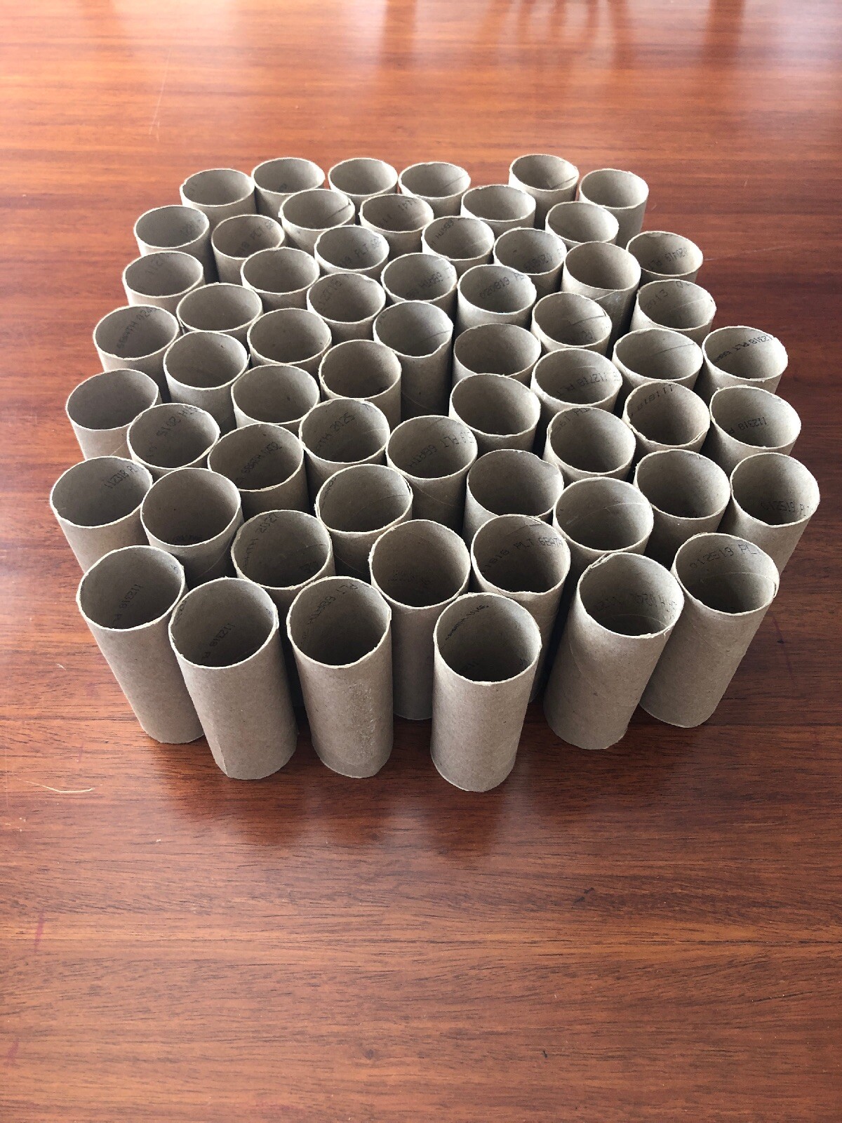 Lot of 60 Empty and Clean Toilet Paper Rolls for Craft Projects