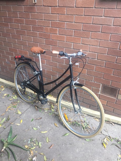 aldi bike trailer 2018