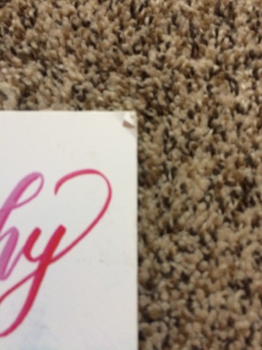 Crayola Crayoligraphy Blendable Brights Hand Lettering Book. NEW!