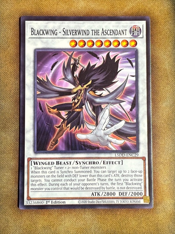 Yugioh Blackwing - Silverwind The Ascendant L5DD-ENC29 Common 1st