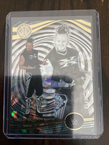 スポーツ THE ROAD WARRIORS ROAD WARRIORS TAG TEAM CHAMPS VHS ANIMAL HAWK AWA WCW NWA