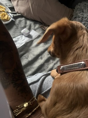 Item photo(s) from verified buyer