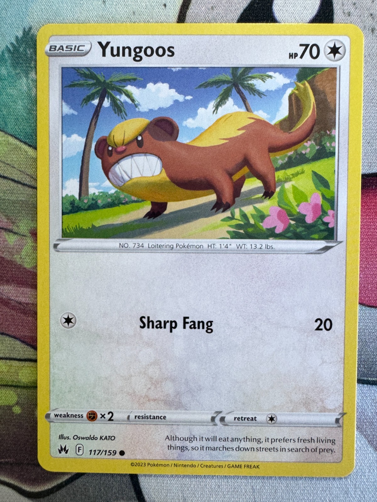 Yungoos Non Holo English Pokemon TCG BKX362 | eBay Yungoos Non Holo English Pokemon TCG BKX362 | eBay