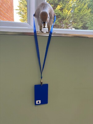 Severance Lumon Key Card with lanyard