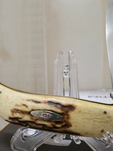 Case XX BLUE SCROLL 1977 5172 Bulldog Stag Handle