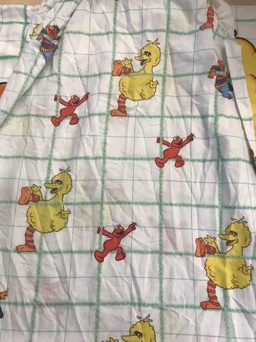 1997 Vintage Sesame Street Twin Fitted Sheet & Pillow Case