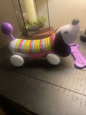 Leap Frog Alphapup Alphabet Letters Learning Talking Toy Dog Pink WORKS