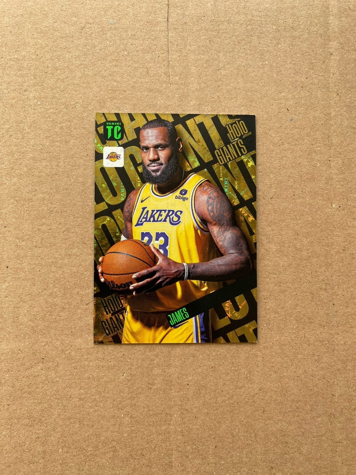 手工芸品—LeBron James 手工芸品—LeBron James