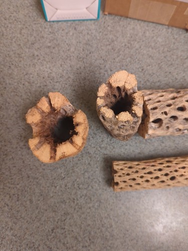 Artikelfoto(s) von einem verifizierten Käufer