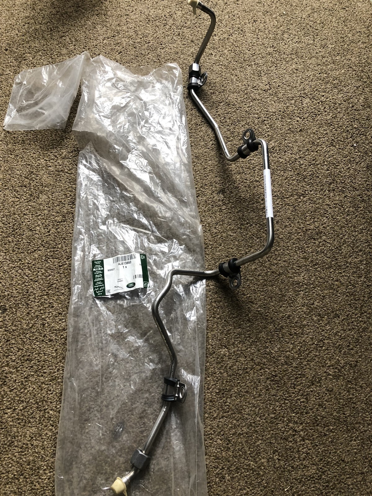 【 yamanii 】 Tortoiseshell Man Bun Glasses #1137825 | Zenni Optical