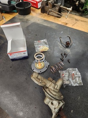 Fotos del artículo de un comprador verificado