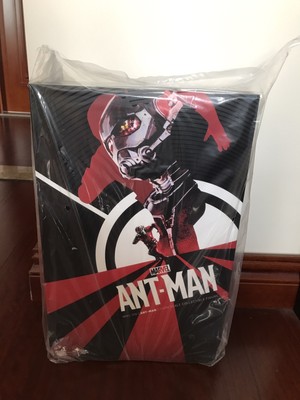 HOT TOYS 16 ANTMAN MMS308  ACTION FIGURE Original Movie Brand New