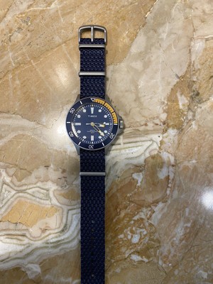 timex allied coastline blue