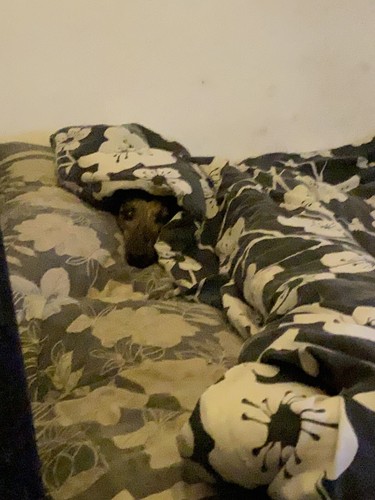 經驗證買家提供的物品圖片