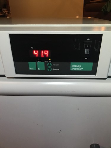 Fisher Scientific 637D IsoTemp 30°-75°C Industrial Lab Drying Incubator Oven