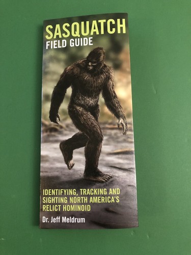 $_12.JPG?set_id=880000500F