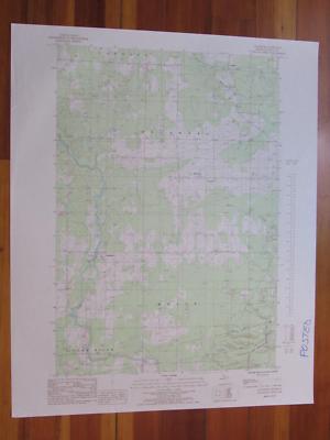 Chandler Michigan 1985 Original Vintage USGS Topo Map