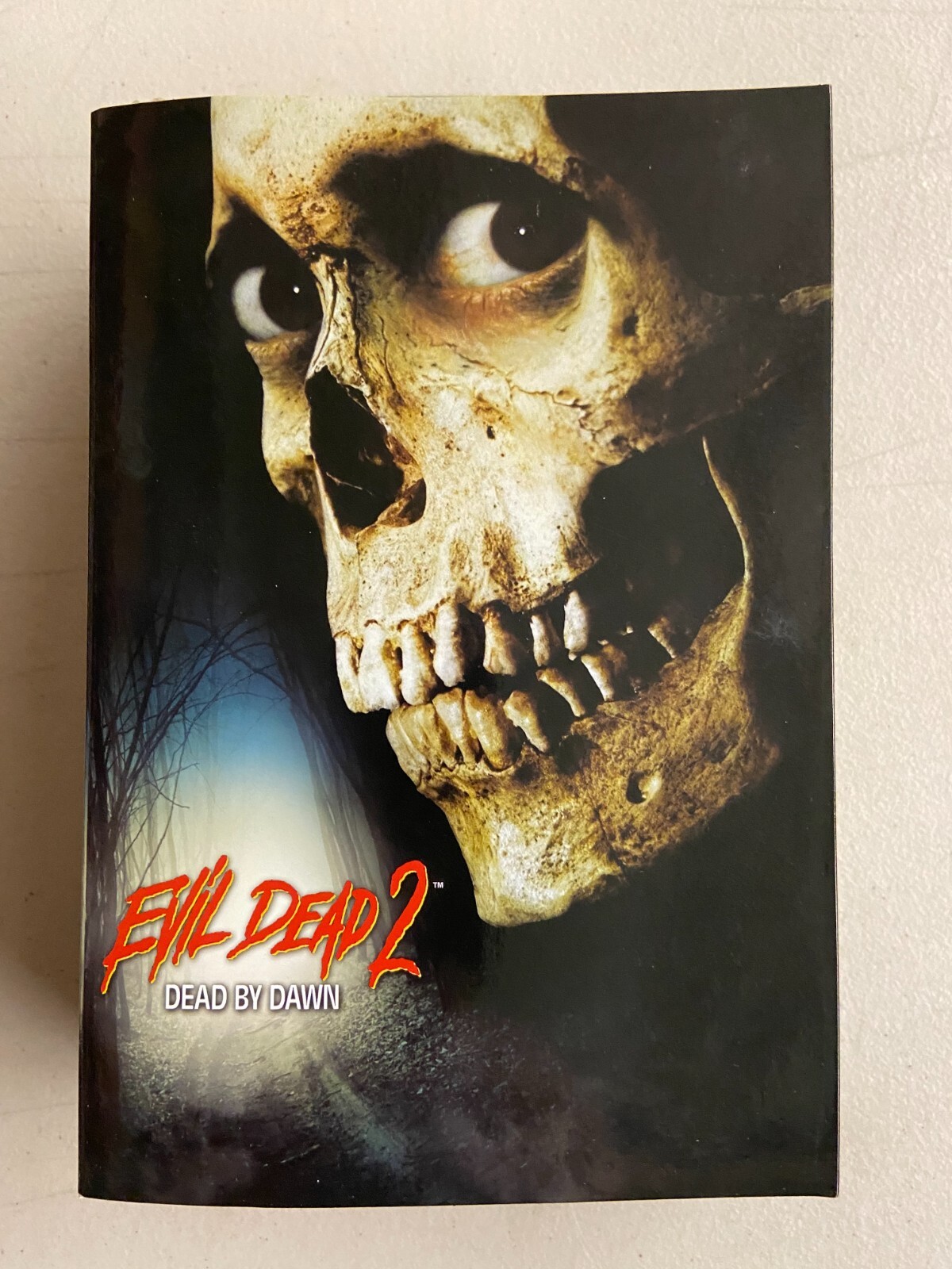 NECA Evil Dead 2 Dead By Dawn Ultimate Ash Williams 7