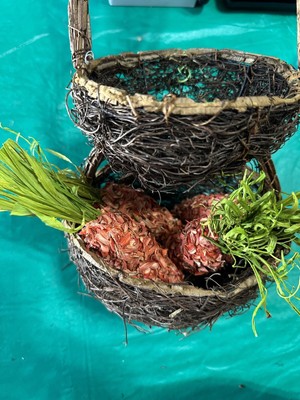 Pier 1 Grapevine Nesting Two Tier Basket Rabbit Ears NEW  19'' & 4 Easter Carrots