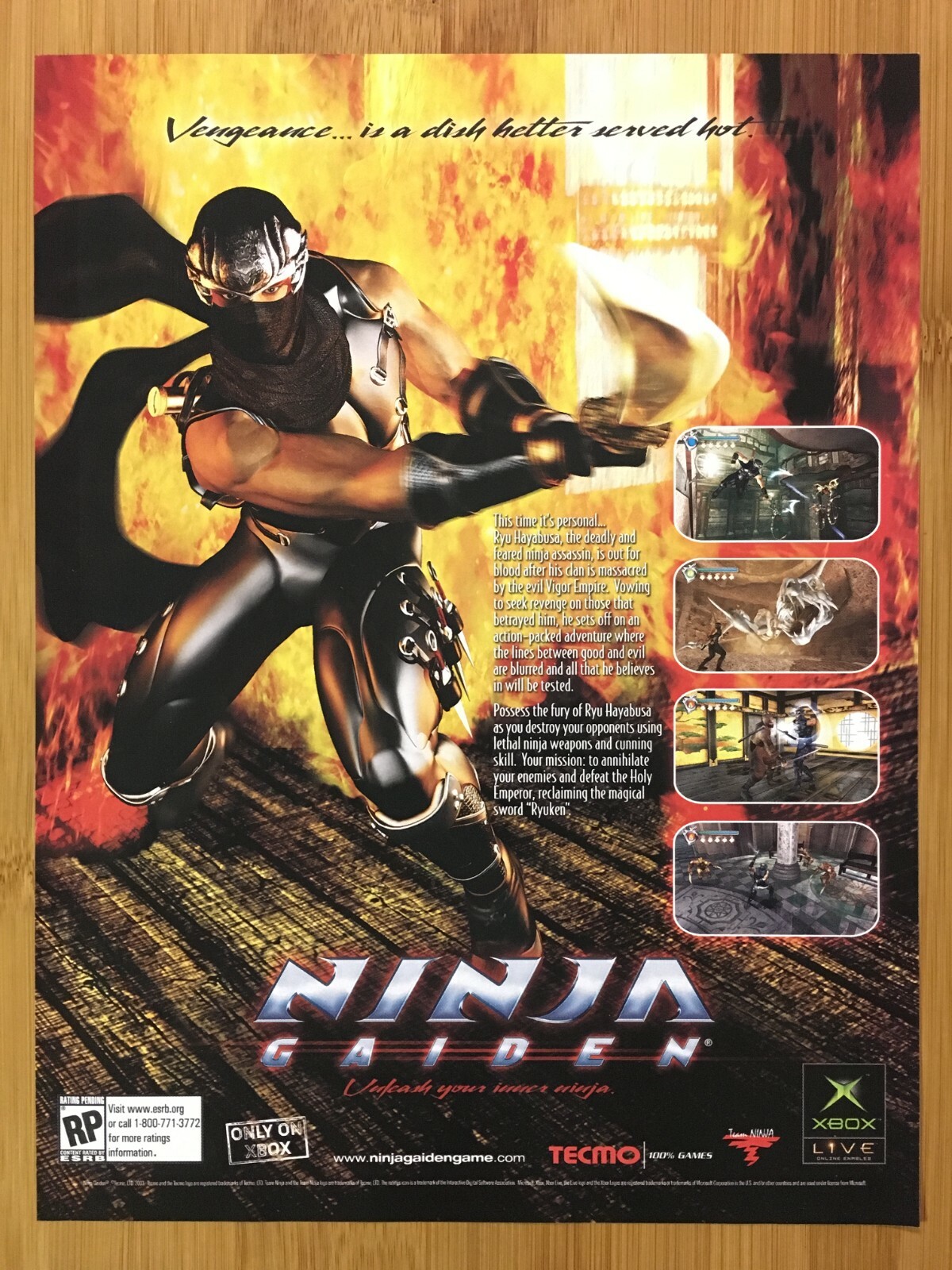 NINJA GAIDEN 店頭ポスター 2004 Ninja Gaiden Original Xbox Vintage Print Ad/Poster