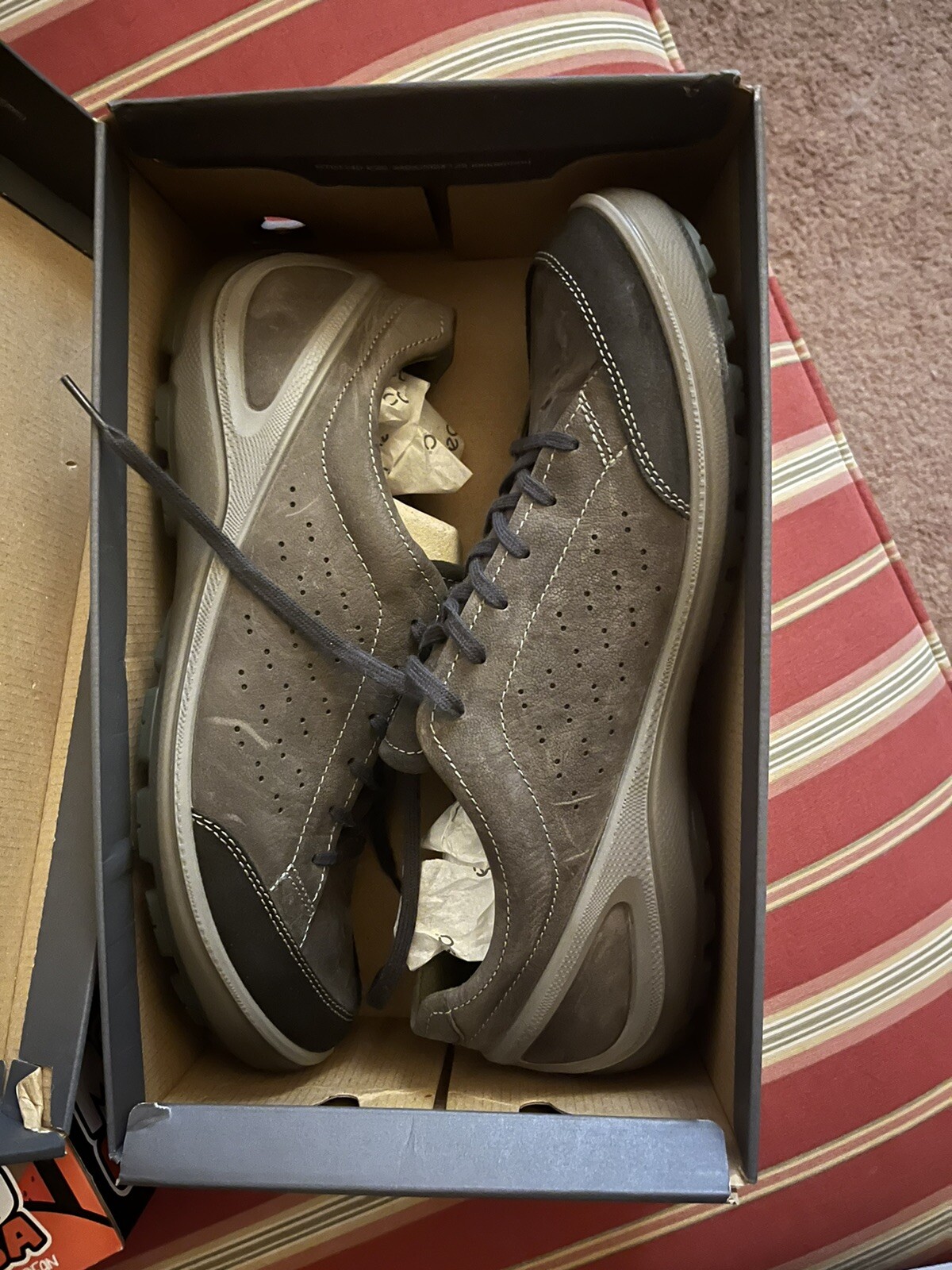 ecco biom 46