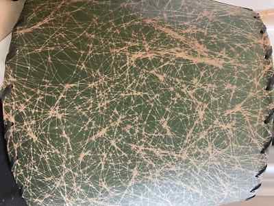 Fotos del artículo de un comprador verificado