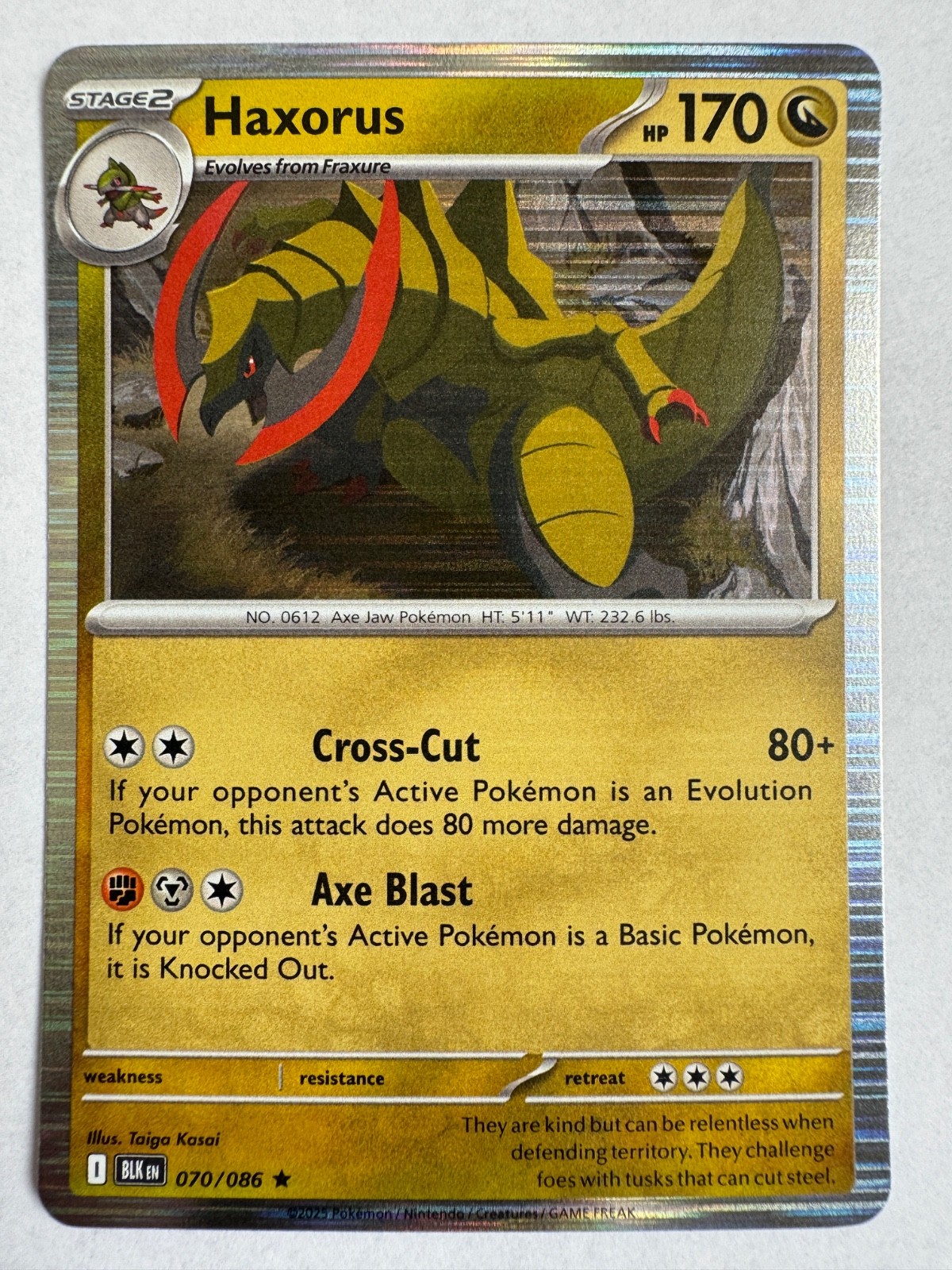 Pokemon TCG - Haxorus - 070/086 - (Holo Rare) - SV: Black