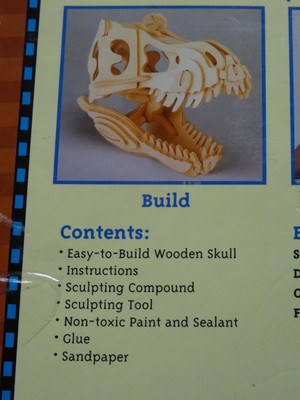 SAFARI LTD<>SKULL SKILL SCULPTING KIT<>