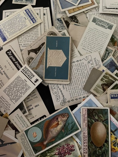 lot of 30 x Old tobacco/cigarette cards Like Seen In This Photo *Blowout Sale*