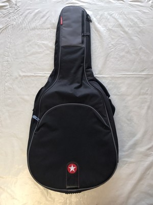 road runner avenue series electric guitar gig bolsa