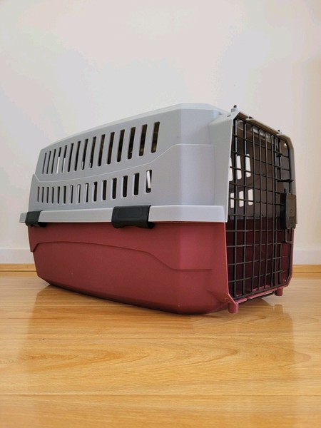 petbarn guinea pig cage