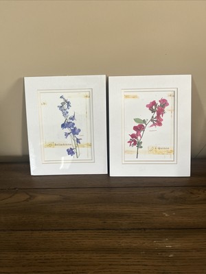 Vintage Melissa McGill Matted Floral Art Prints Belladonna/ Quince 8x10