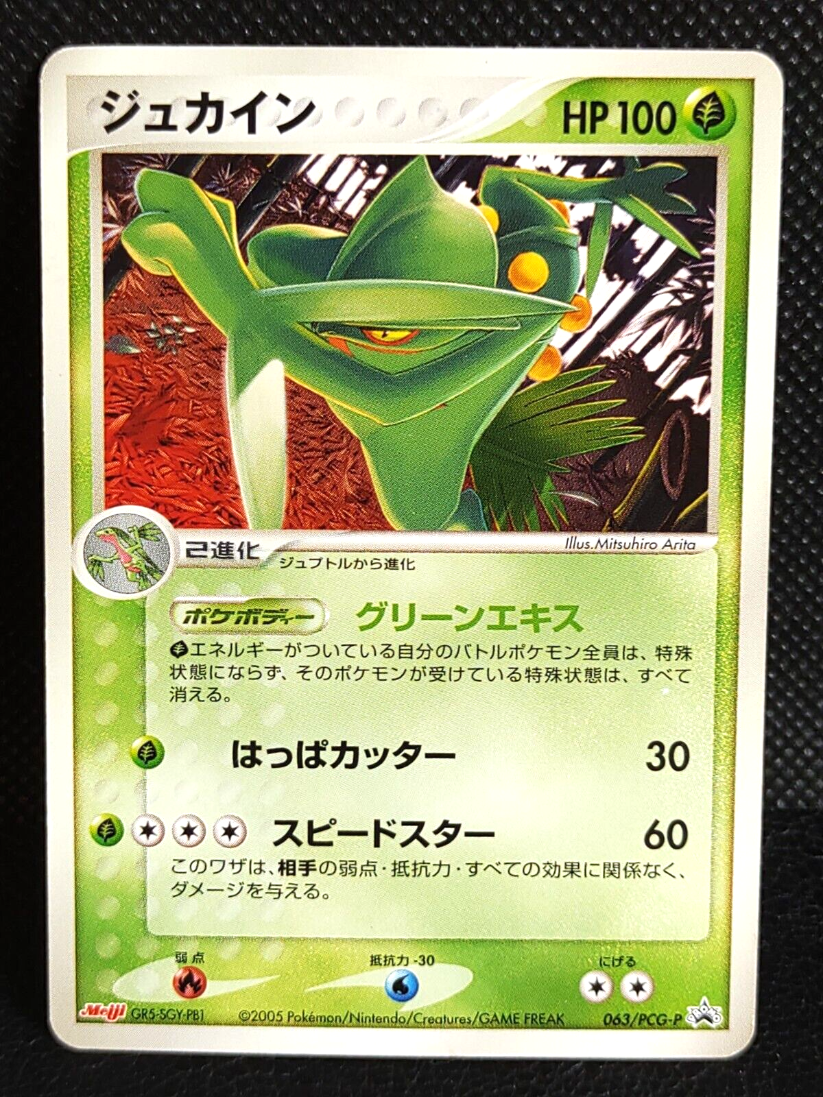 Sceptile 063/PCG-P Meiji Promo Pokemon Card Japanese Vintage Sceptile 063/PCG-P Meiji Promo Pokemon Card Japanese Vintage