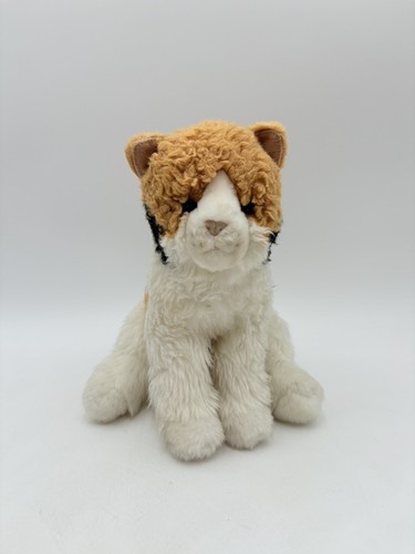 【Calico(♂)】 $_12.JPG?set_id=880000500F