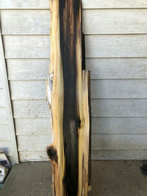 Rainbow Yelllow poplar slab