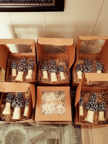 Just in time for Easter and that Morel hunter..Solid Chocolate Morel Mushrooms.