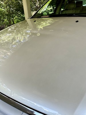 image 19 of exterior