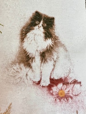 Photos de l'objet d'un acheteur vérifié