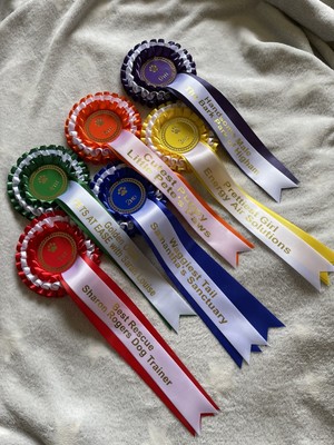 Artikelfoto(s) von einem verifizierten Käufer