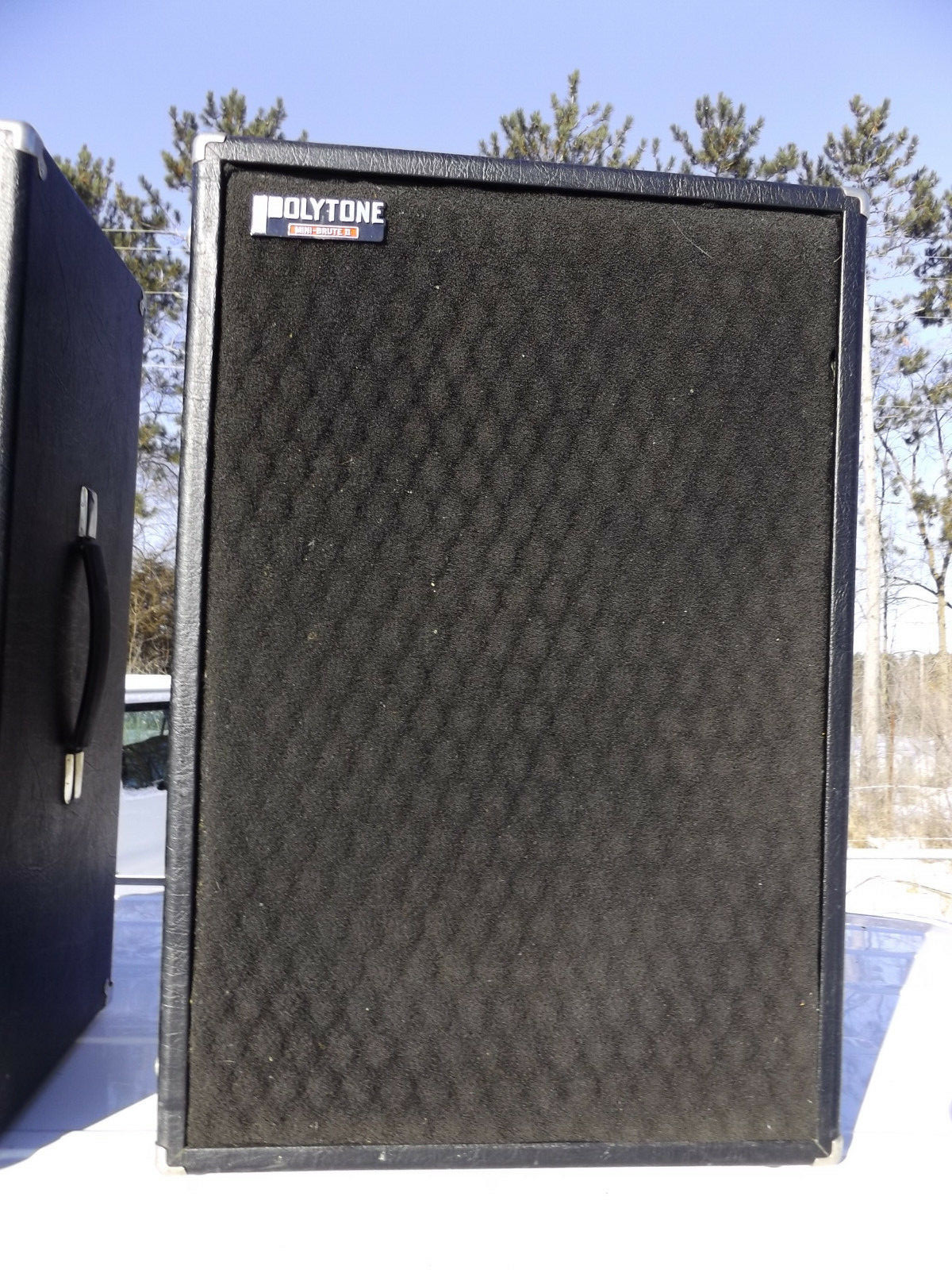 POLYTONE MINI-BRUTE II IV EXTENSION SPEAKER GOOD USED (2 AVAILABLE)