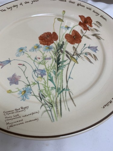 Lot of 3 Noritake The Country Diary Of An Edwardian Lady 10” Dinner Plate Holden