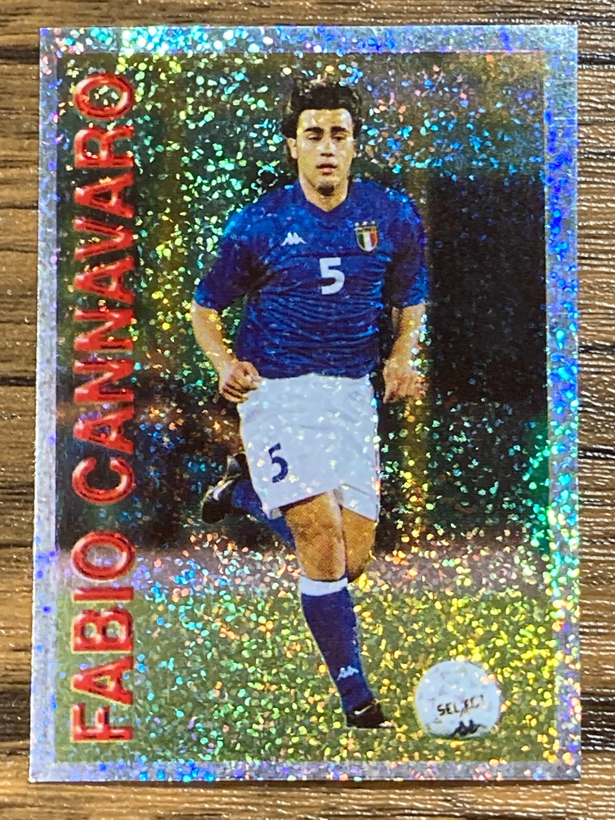 PSA10 カンナバーロ CANNAVARO PFL パニーニフットボールリーグ PSA10 カンナバーロ CANNAVARO PFL パニーニフットボールリーグ