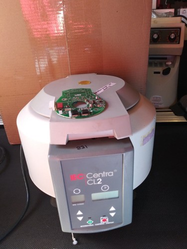 IEC Centra CL2 Centrifuge WITH ROTOR ! P/R