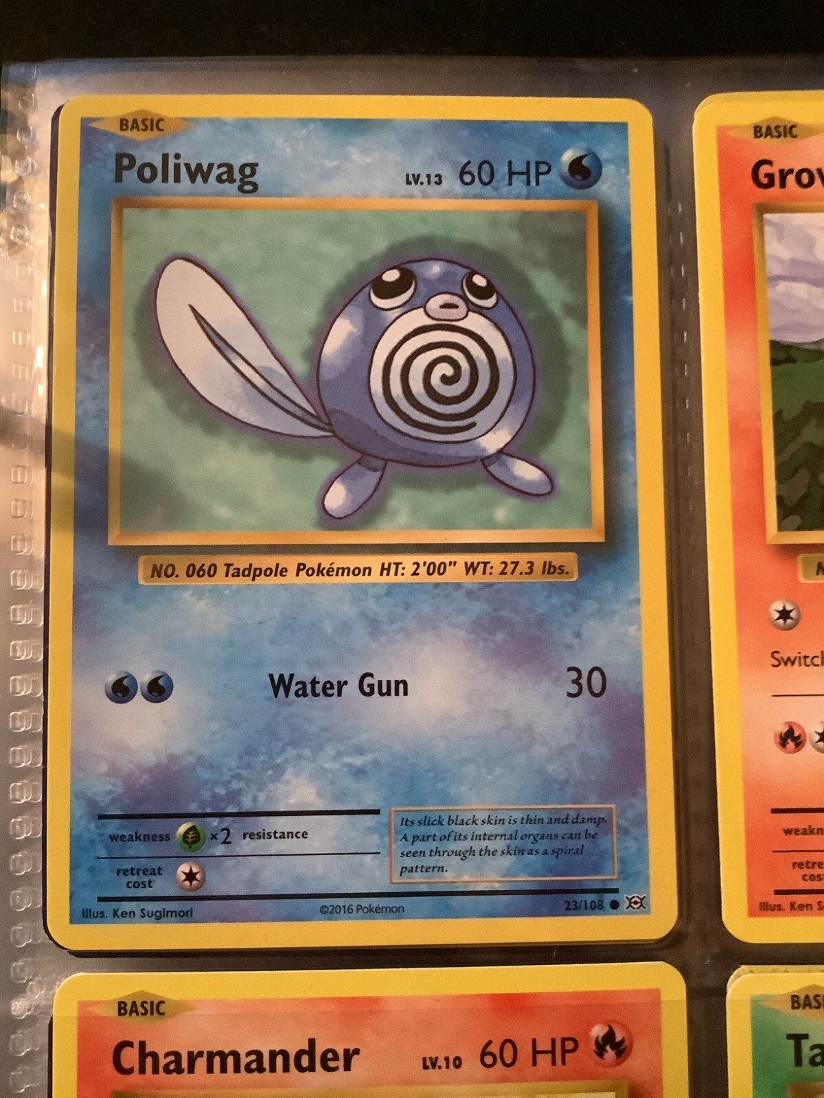 Poliwag 23/108 XY Evolutions Pokemon TCG Card NM | eBay