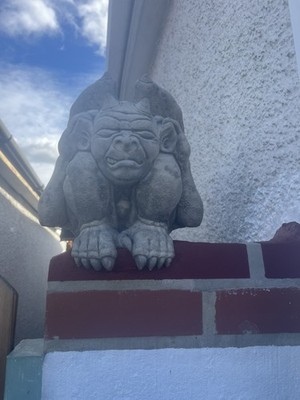 Foto dell'oggetto di un acquirente verificato