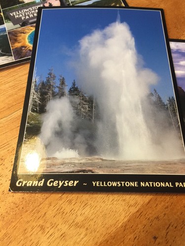 Yellowstone National Park Lot of 6 Postcards Montana Wyoming Bison Elk
