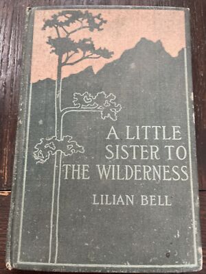 Vintage A Little Sister to the Wilderness Book by Lillian Bell c.1900 HB